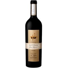 VINHO SEPTIMA GRAN 10 BARRICAS MALBEC TTO 1X750ML