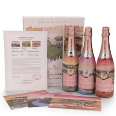 ESPUMANTE COMBO CASA PERINI AQUARELA 2X3X750ML