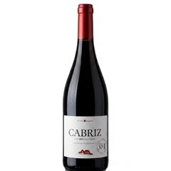 VINHO CABRIZ COLHEITA MAGNUM IP TINTO 1X1500ML