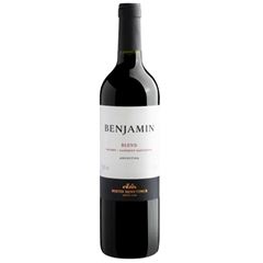 VINHO BENJAMIN NIETO BLEND TTO 1X750ML